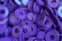 Violeta